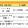 東京マラソンエントリーしました♪（1000m×5 似非インターバル走 他）