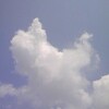 知ってることなんて一部。