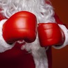 今年もクリスマス終わっちゃいましたね。12月26日はボクシング・デイご存知でした　？　　殴り合い？？？