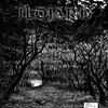 Ildjarn - Forest Poetry