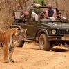 Top Adventures Activities to Do During Your Rajasthan Visit