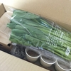【美味しい野菜を求めて】1,980円で13品、大地宅配 お試しセットの感想は？