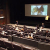 「大阪アジアン映画祭２０１０」（一部）レポート &lt;br&gt;俺の発見全部でなんぼや &lt;br&gt;若木康輔（ライター）