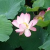 霊験を生む信仰
