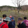 大舘山を梁川町の花見山にー夢を抱いてコツコツと取り組んでいます