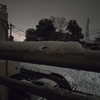 3/5　くもり時々雨