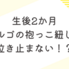 育児日記　生後2ヶ月　ピンチ！エルゴの抱っこ紐しか泣き止まない！？