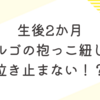 生後2ヶ月　ピンチ！エルゴの抱っこ紐しか泣き止まない！？