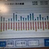 １月の太陽光発電の結果⚡