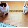 うちの家族紹介(^^)v