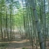 高積山から城ヶ峯へ