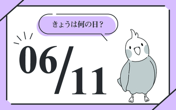あなたの家は大丈夫？　6月11日は「雨漏り点検の日」