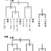 第51回(2024年)会長杯、組合せ・日程表【学童】