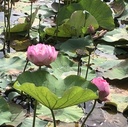 新城探訪記〜山の湊新城の神社・お寺