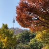 🍁2022.10.29(Sat) ~ 11.1(Tue)　韓国旅行　総括