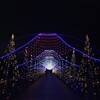 今年最後の泊まり旅  イルミネーション編