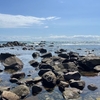 うめじろうの夏休み｜久々の「幕末日光浴」で熱く燃え上がる夏！＠茨城2024