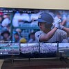 高校野球が始まった