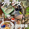 ケアンズでやりたい体験！コアラと朝食