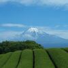 【静岡・掛川のお茶家のコーヒー】ほうじ茶とコーヒーを合わせた『お茶屋茶匠のほうじ茶珈琲』