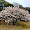 今年初のバーディー！さらにそこから人生初の連続バーディー！（JGM 霞丘GC 南→西）