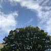 １日目
