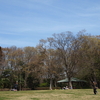 花島公園