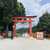 【京都散歩】　上賀茂神社　【京都市北区】　20250824