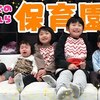 1月25日の動画