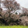 心頭滅却、ストレス退散