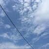 木曜日、午前定例、午後現場