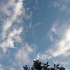 気になるカットを、、、
