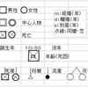 家系の法則－１、ジェノグラムで分析される家族関係（１）