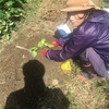 【農業】清阪テラスで畑を始めました⑨８月２６日