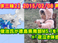 村井俊治氏が2/6の徳島県南部M5.0地震を予測していた＋愛弥美の「夜泣き体感」？