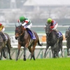 競馬初心者必見☆馬券予想🔥〜大阪杯〜現役最強馬エフフォーリアが登場‼️〜