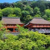 【京都】『清水寺』「千日詣り」に行ってきました。 京都観光 そうだ京都行こう  