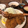 お花見サイクリング中止