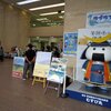 南三陸町が出店した２つのマルシェと仙台東照宮