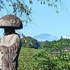 新しいソーラーライト✨