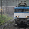 2024/06/09 4093レ EF81 452号機