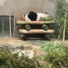 上野動物園