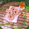 焼きたておうちのパン𖤣𖤥𖠿𖤣𖤥