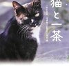 妹、祖父母方で猫を飼い始めたと聞き大喜び