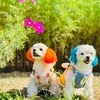 鳥取から日帰りドライブができる　おすすめコース　真庭市　勝山　勝山町並み保存地域