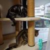 朝から・・仲良く