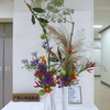 戸塚文化協会華道部様による9月の生け花