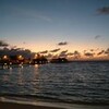 ムレハタタテダイ。。。