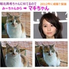 え？マキばあちゃん、ちょっと若かった？『我家の猫紹介』画像を修正