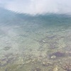 やっと！！春イカが釣れた！！